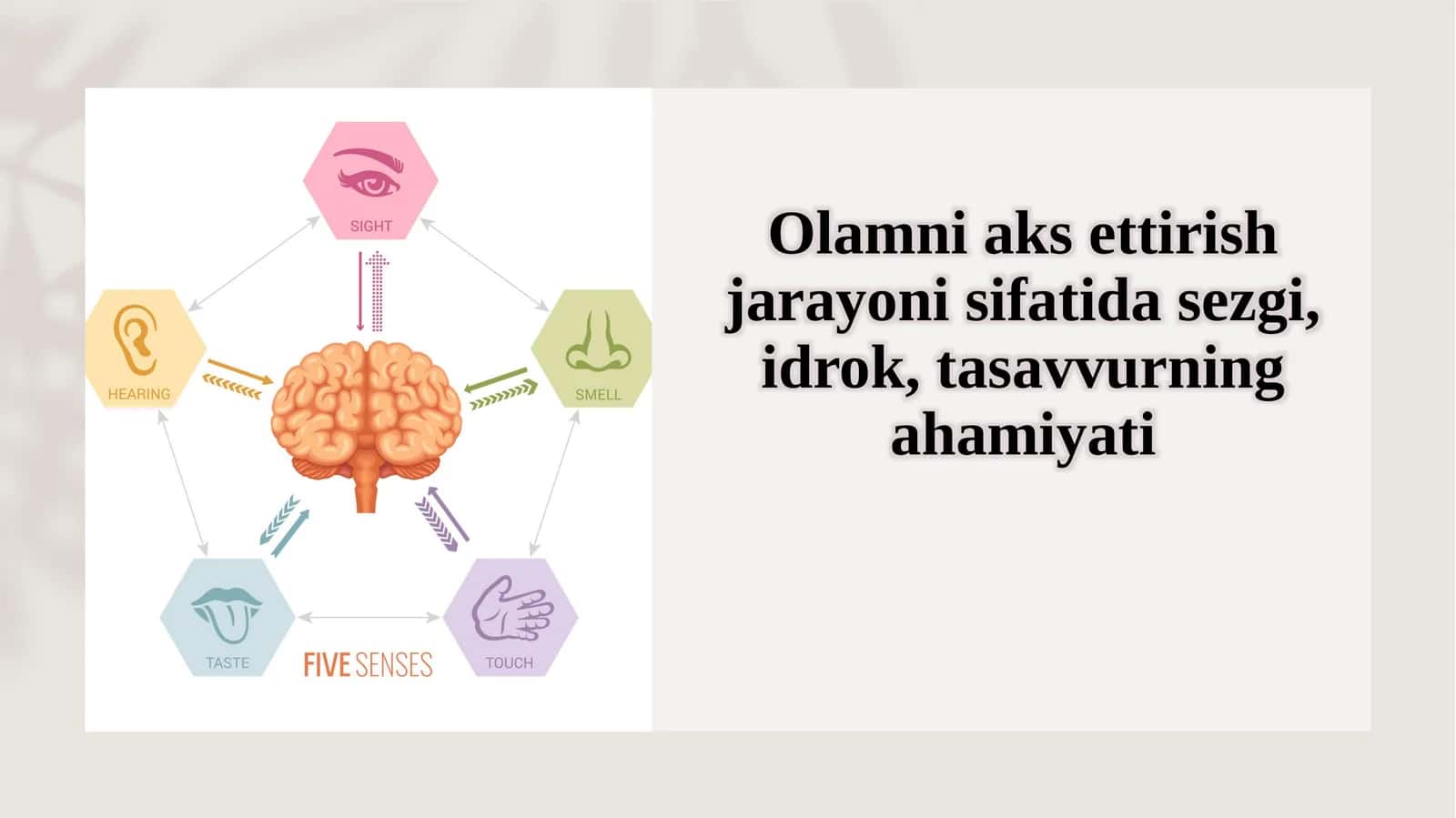 Olamni aks ettirish jarayoni sifatida sezgi, idrok, tasavvurning ahamiyati