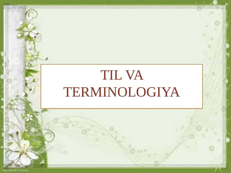 TIL VA TERMINOLOGIYA
