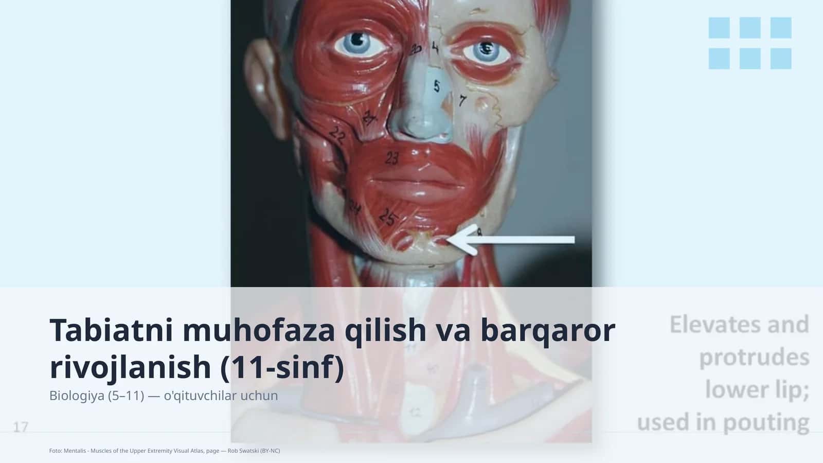 Tabiatni muhofaza qilish va barqaror rivojlanish (11-sinf)