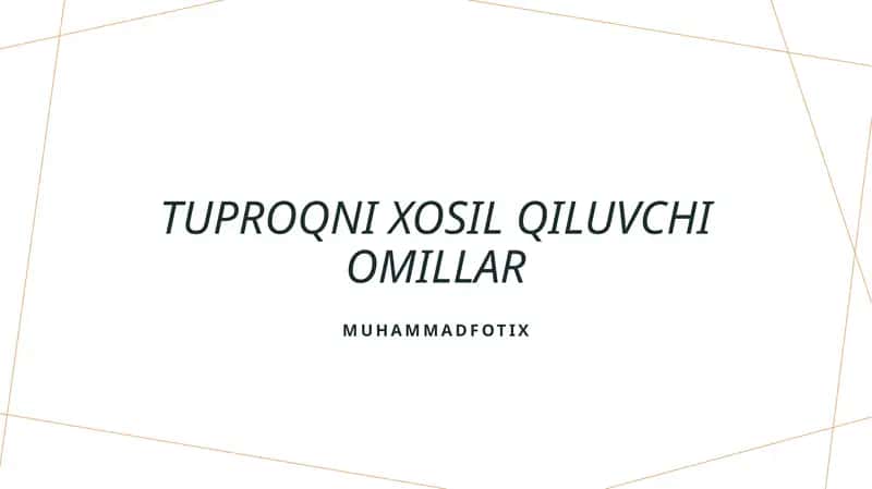 Tuproqni xosil qiluvchi omillar