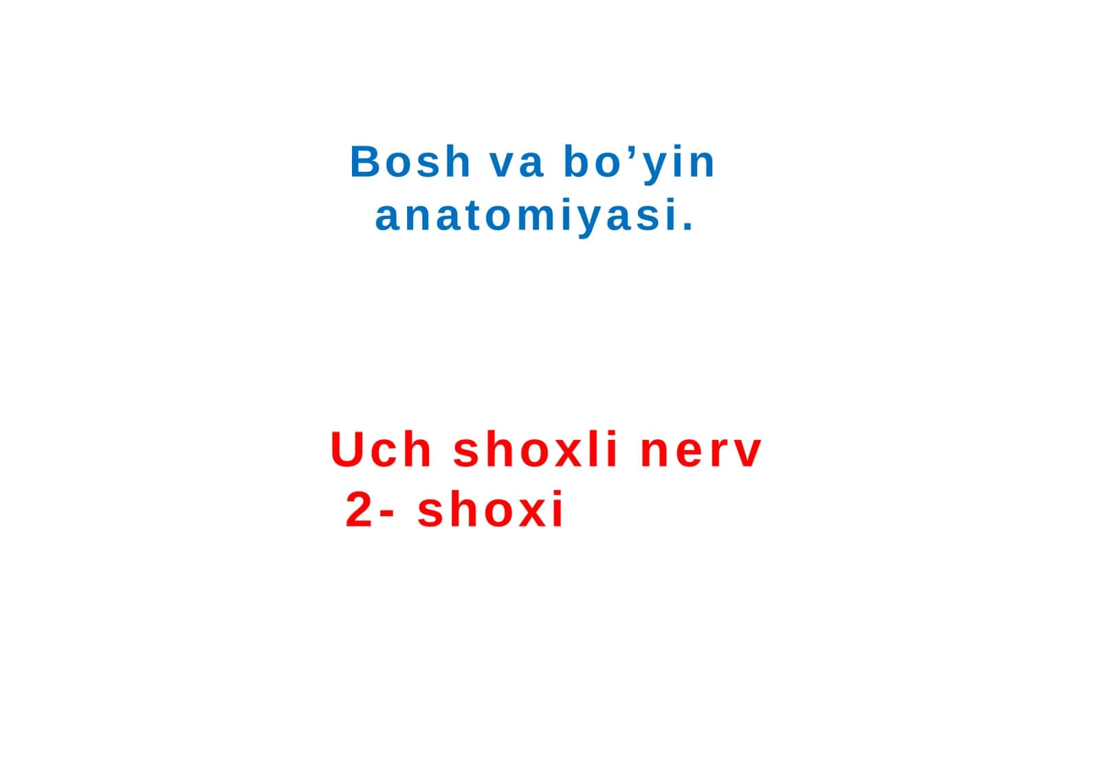 Uch shoxli nerv  2- shoxi