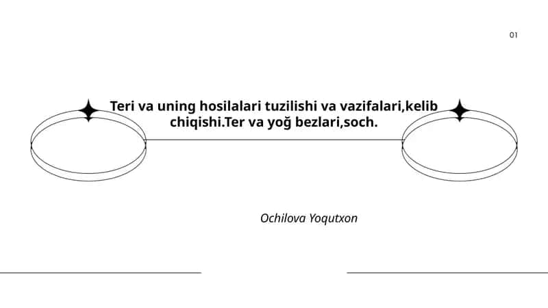 Teri va uning hosilalari tuzilishi va vazifalari