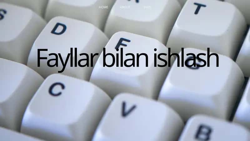 Fayllar bilan ishlash