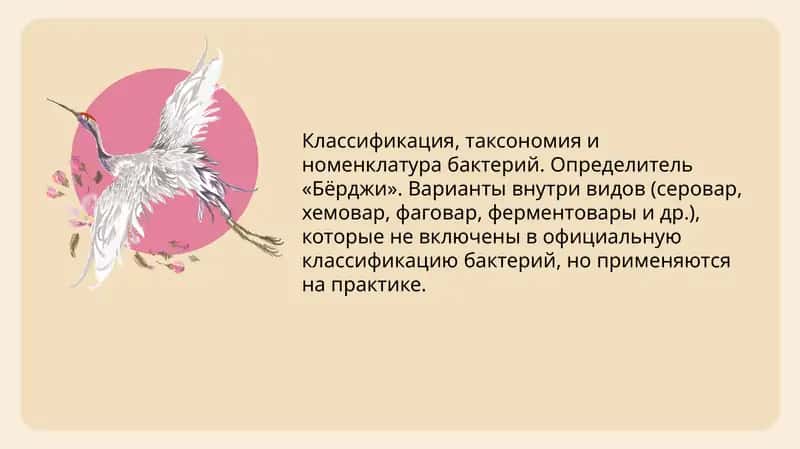 Классификация, таксономия и номенклатура бактерий. Определитель «Бёрджи». Варианты внутри видов (серовар, хемовар, фаговар, ферментовары и др.), которые не включены в официальную классификацию бактерий, но применяются на практике.