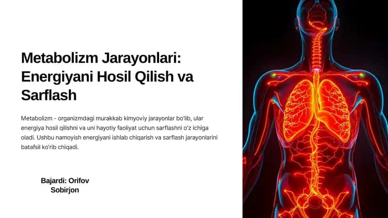 Metabolizm Jarayonlari: Energiyani Hosil Qilish va Sarflash