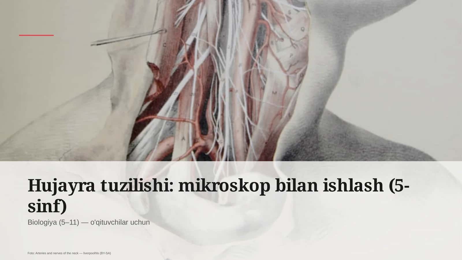 Hujayra tuzilishi: mikroskop bilan ishlash (5-sinf)
