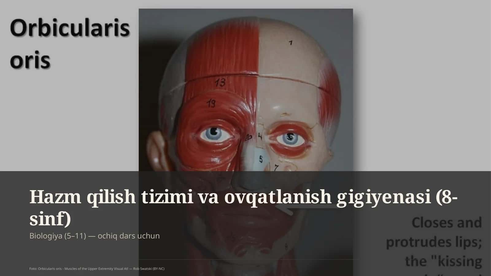 Hazm qilish tizimi va ovqatlanish gigiyenasi (8-sinf)