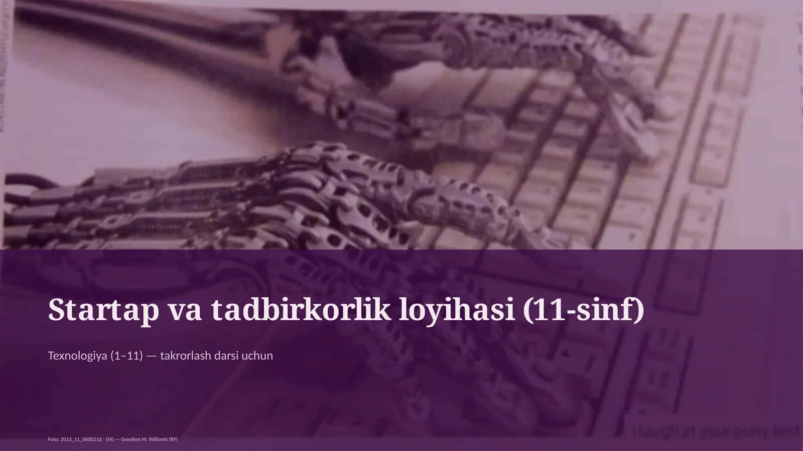 Startap va tadbirkorlik loyihasi (11-sinf)