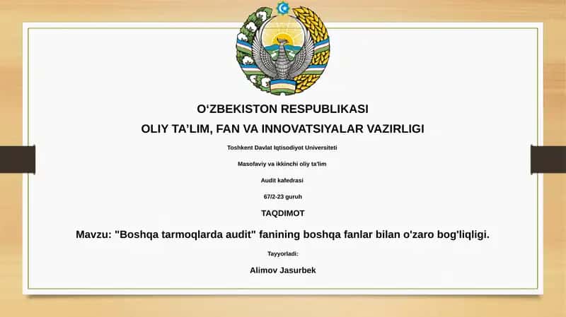 Boshqa tarmoqlarda audit