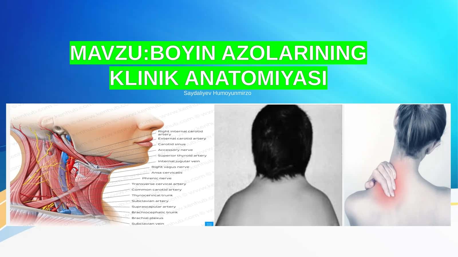 BOYIN AZOLARINING KLINIK ANATOMIYASI