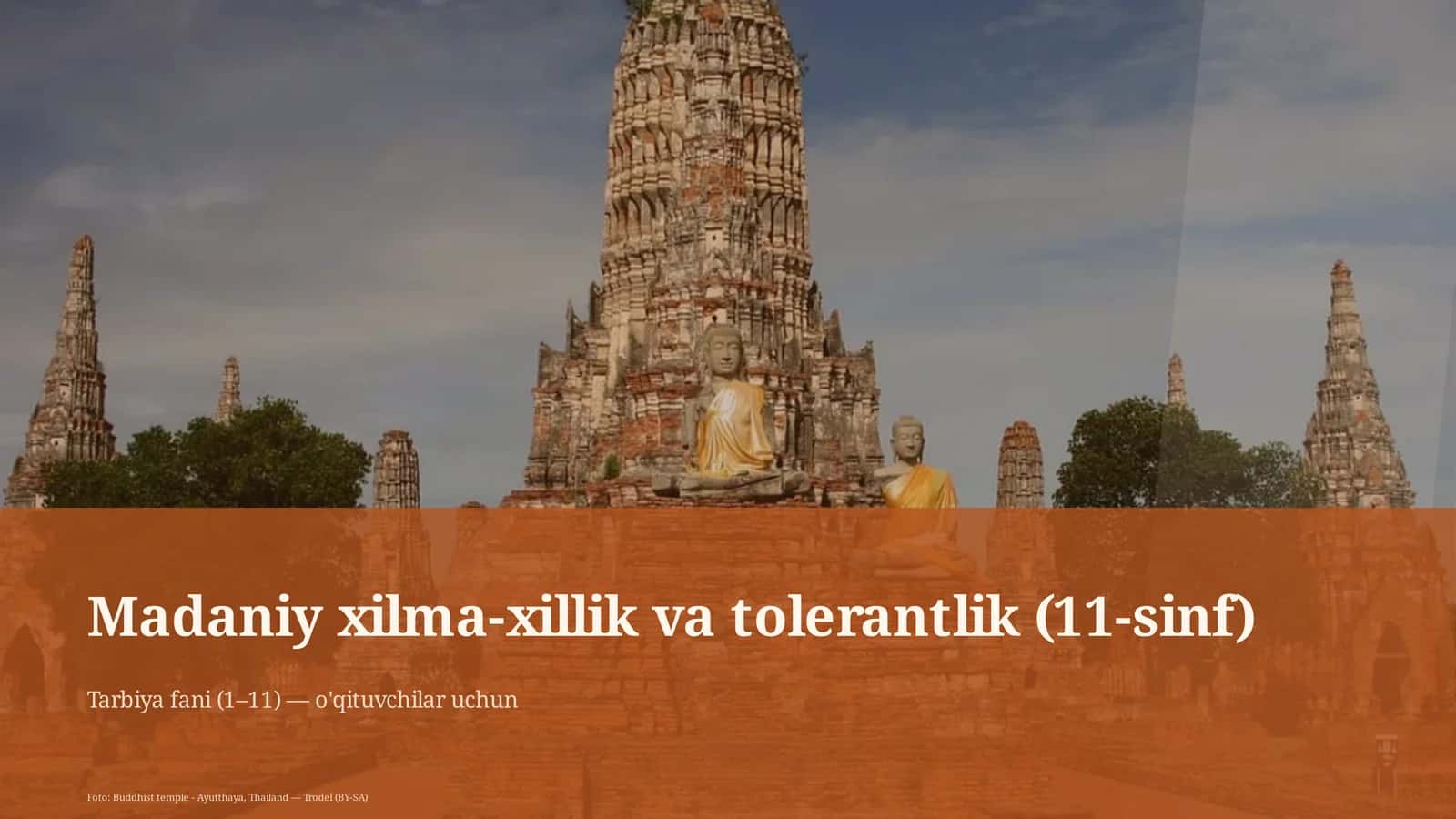 Madaniy xilma-xillik va tolerantlik (11-sinf)