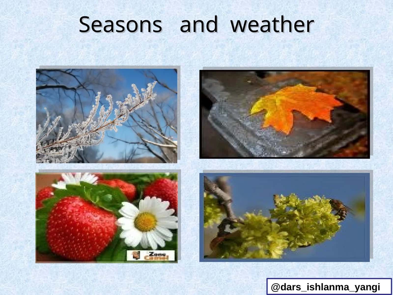 Spring, Summer, Autumn, Winter - Seasons and Weather