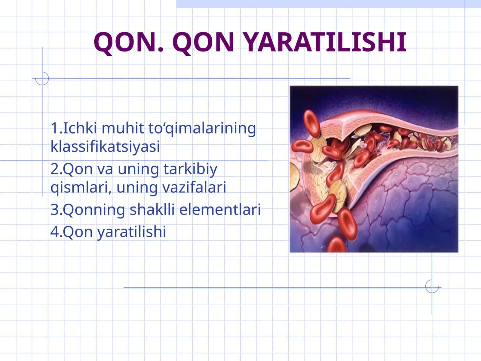 QON. QON YARATILISHI