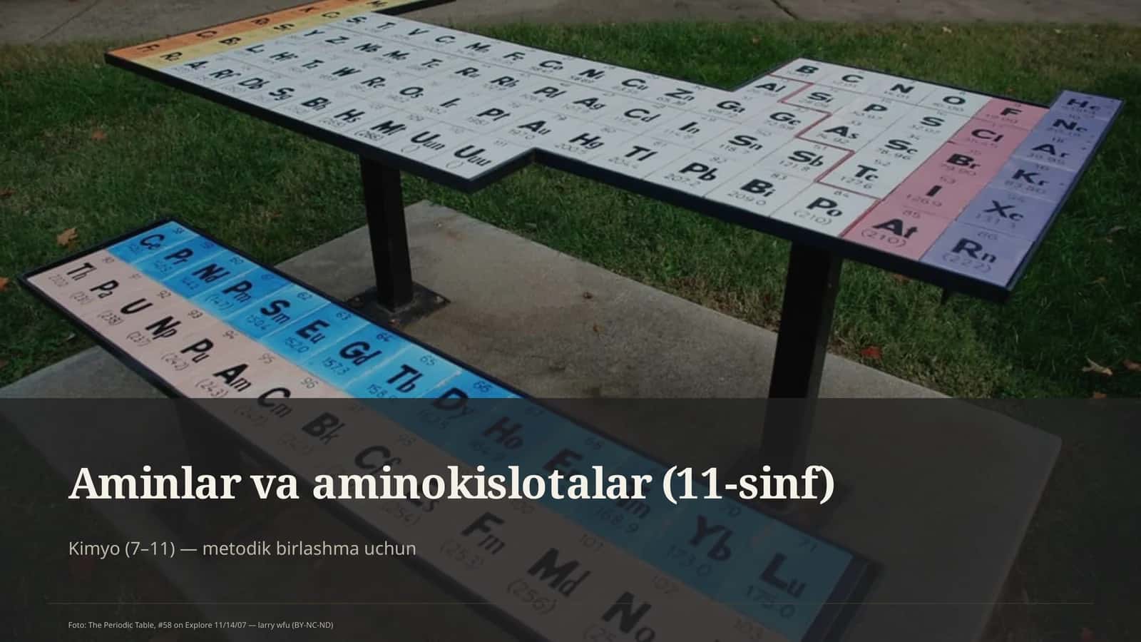 Aminlar va aminokislotalar (11-sinf)