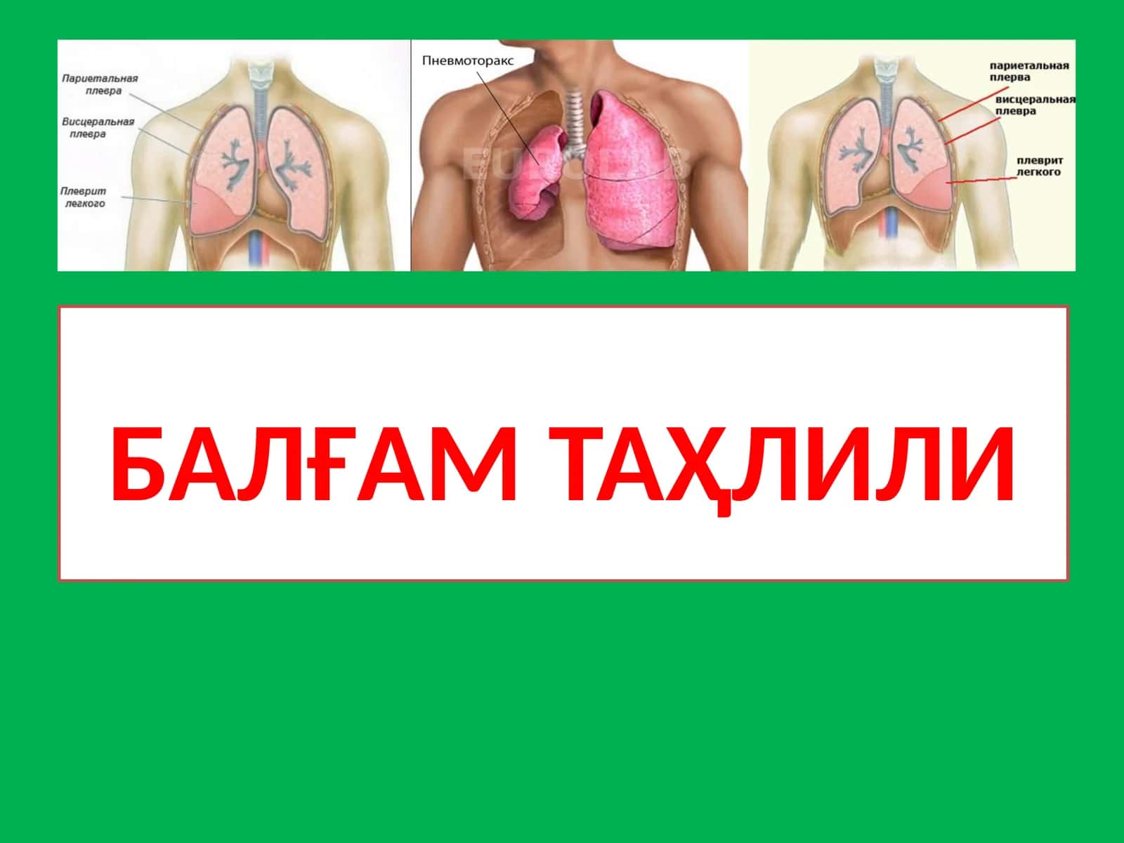 Балғам Таҳлили