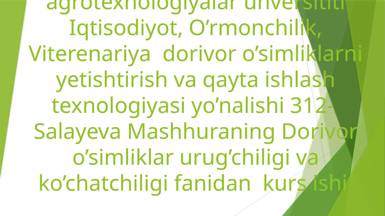 Shirinmiya-(Chuchukmiya), (Solodkagoloya)GlyeyrrhizaglabraL.o’simliginiurug’chiligivako’chatchiligitaxlili
