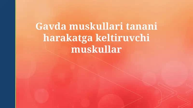 Skeletal mushaklar: Umumiy ko'rinish