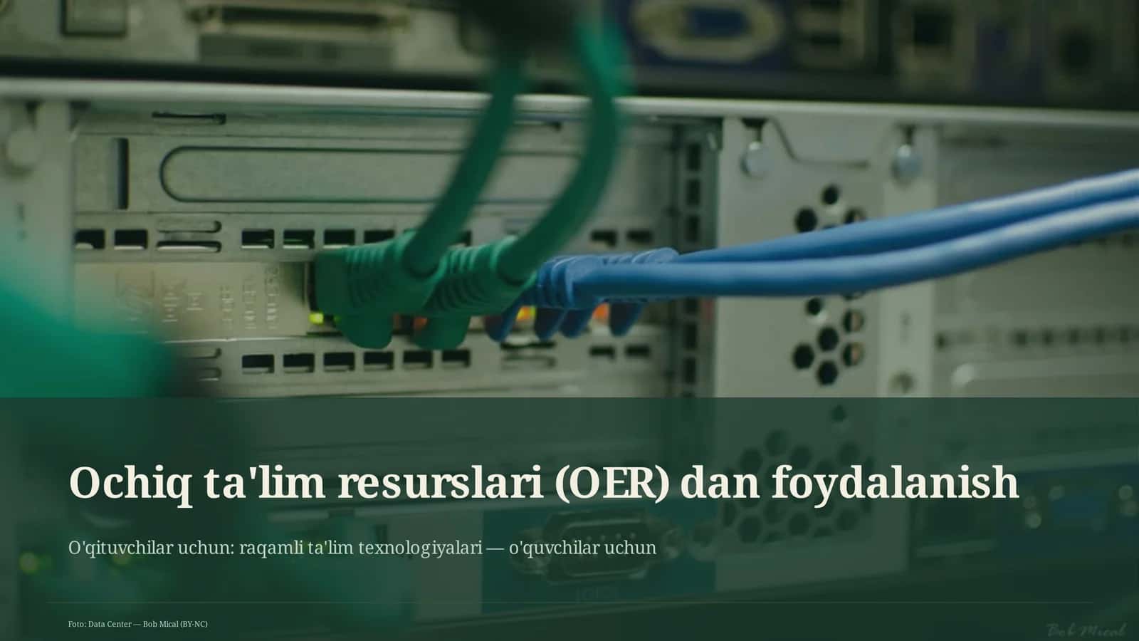 Ochiq ta'lim resurslari (OER) dan foydalanish