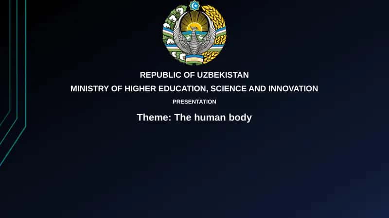 The human body