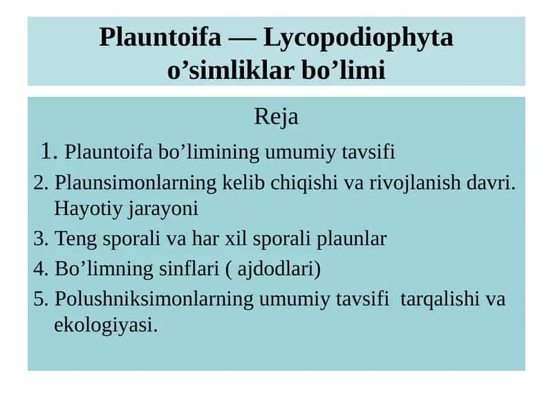 Plauntoifa — Lycopodiophyta o’simliklar bo’limi