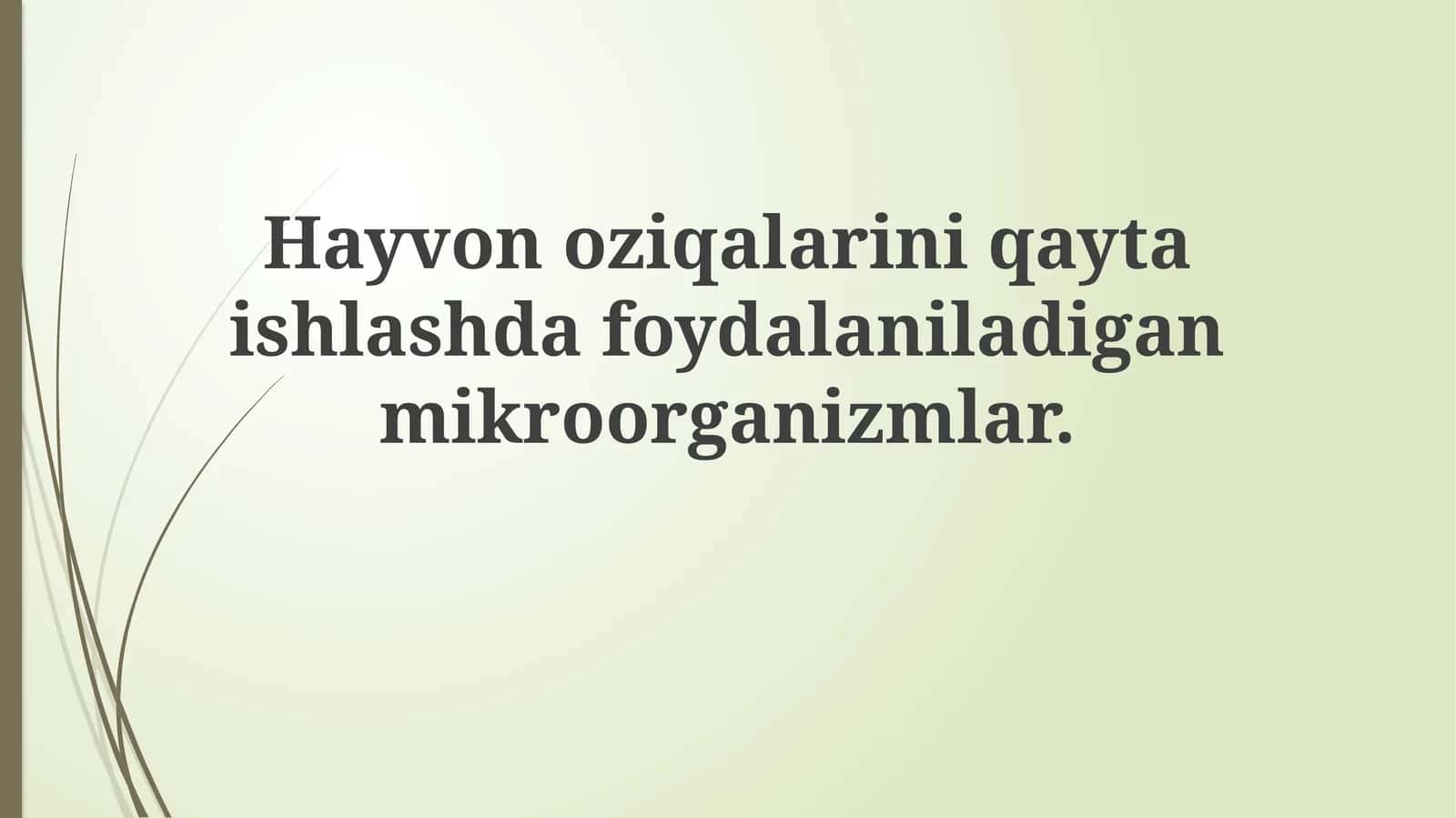 Hayvonoziqalariniqaytaishlashdafoydalaniladiganmikroorganizmlar