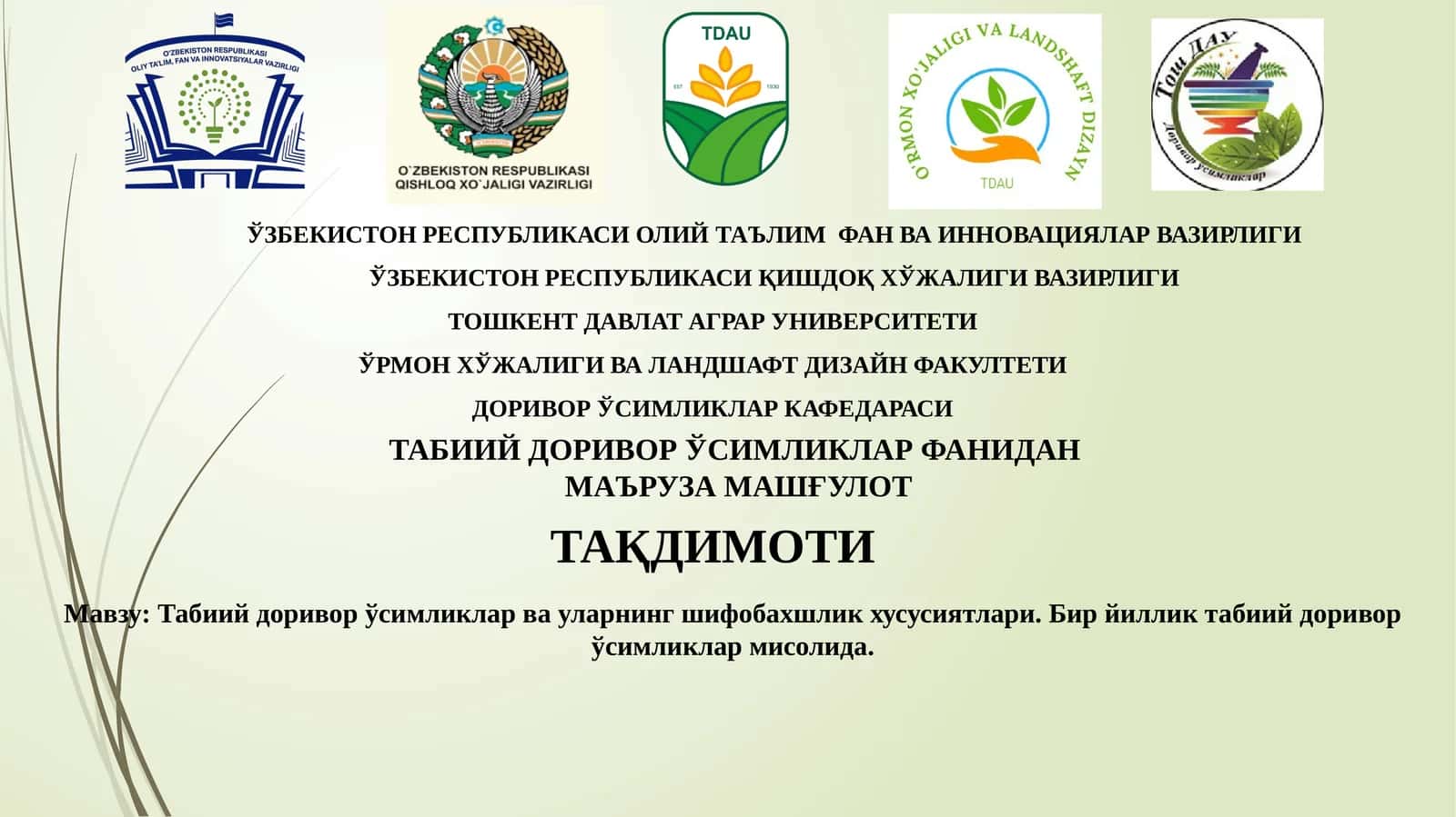 Табиий доривор ўсимликлар ва уларнинг шифобахшлик хусусиятлари. Бир йиллик табиий доривор ўсимликлар мисолида.