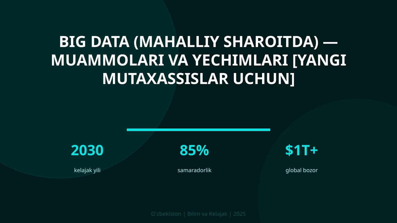 BIG DATA (MAHALLIY SHAROITDA) — MUAMMOLARI VA YECHIMLARI [YANGI MUTAXASSISLAR UCHUN]