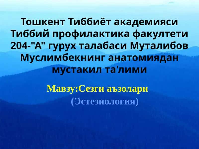 Сезги аъзолари (Эстезиология)