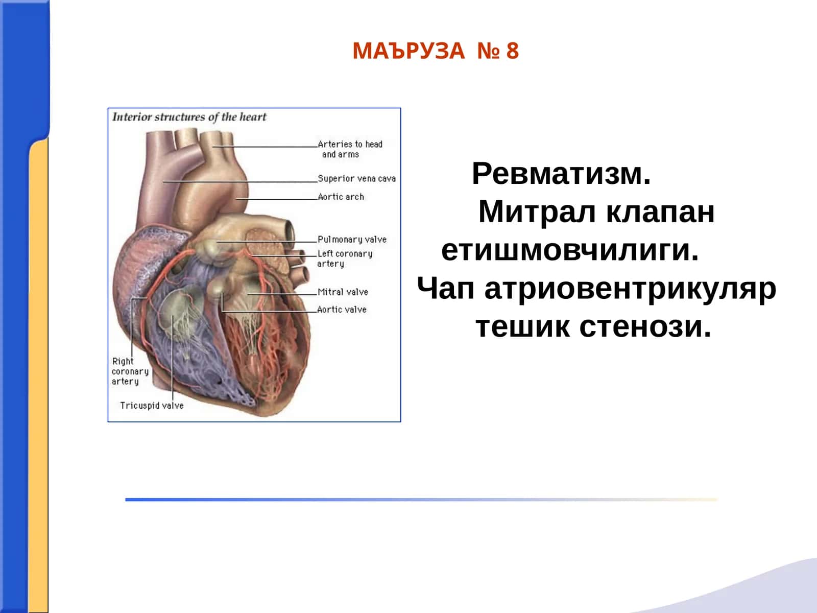 Ревматизм. Митрал клапан етишмовчилиги. Чап атриовентрикуляр тешик стенози