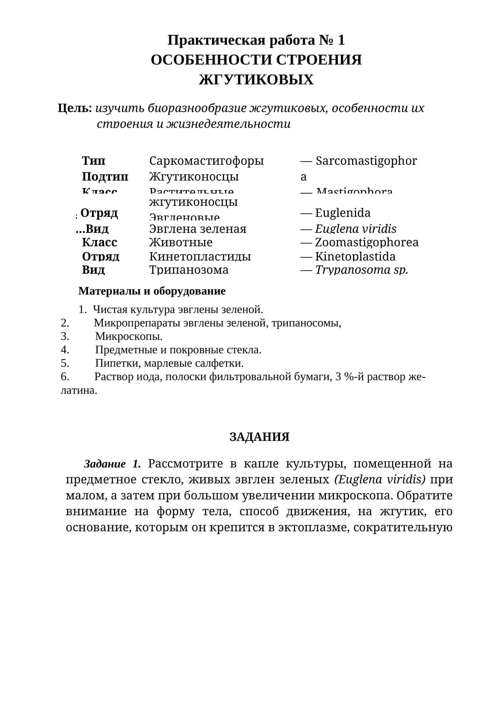 ОСОБЕННОСТИ СТРОЕНИЯ ЖГУТИКОВЫХ