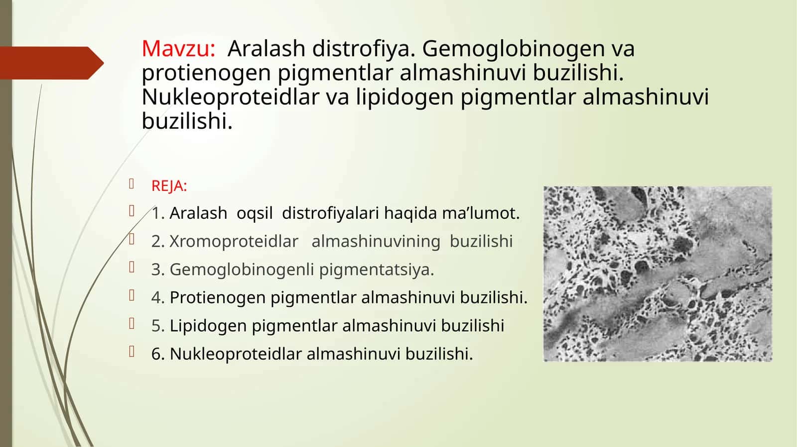 Aralash distrofiya. Gemoglobinogen va protienogen pigmentlar almashinuvibuzilishi. Nukleoproteidlar va lipidogen pigmentlar almashinuvibuzilishi