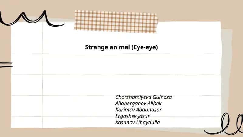 Strange animal (Eye-eye)