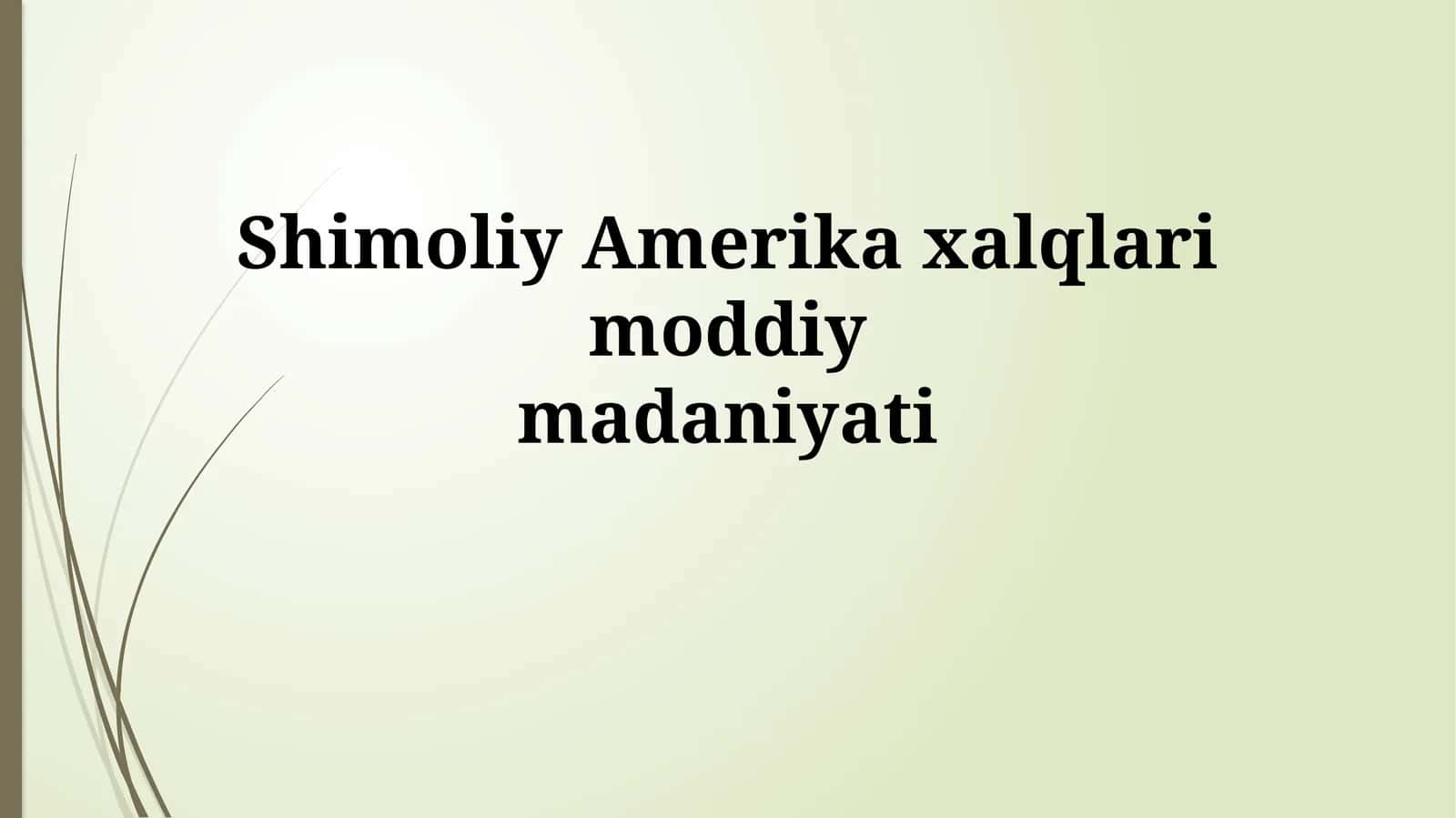 Shimoliy Amerika xalqlari moddiy madaniyati