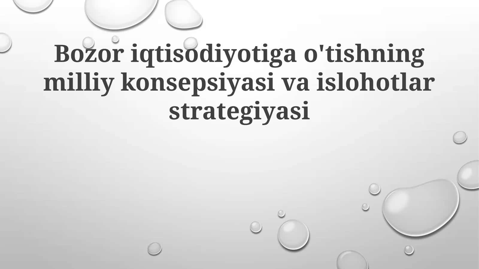 Bozor iqtisodiyotiga o'tishning milliy konsepsiyasi va islohotlar strategiyasi