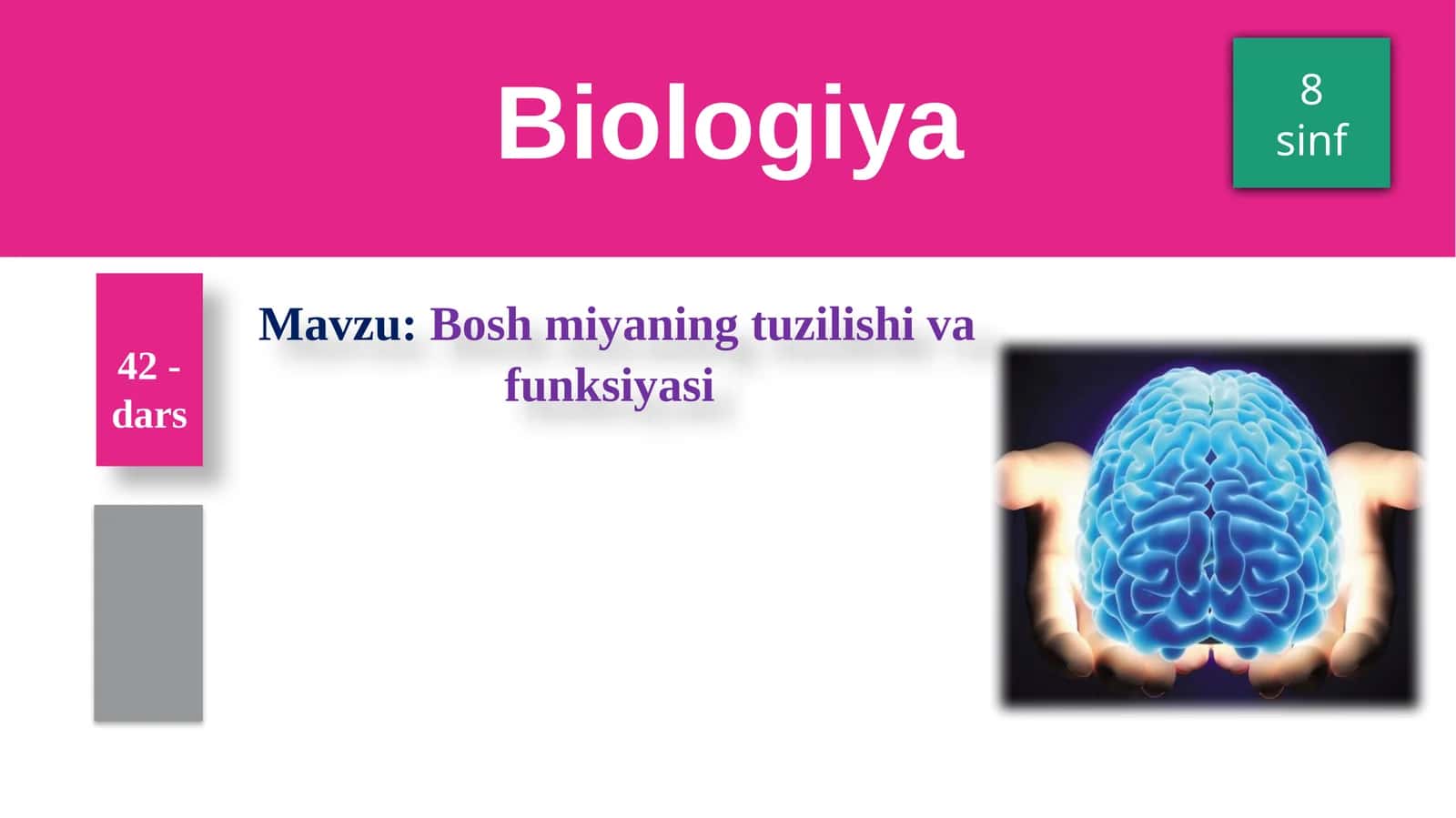 Boshmiyaning tuzilishi va funksiyasi