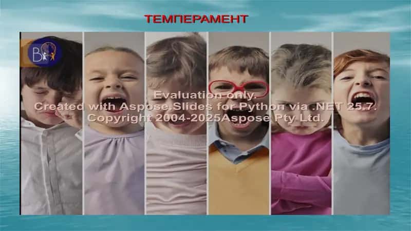 TEMPERAMENT