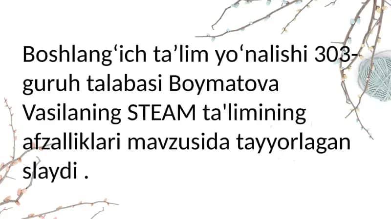 STEAM ta'limi