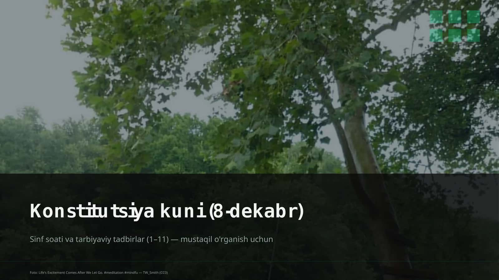 Dars rejasi