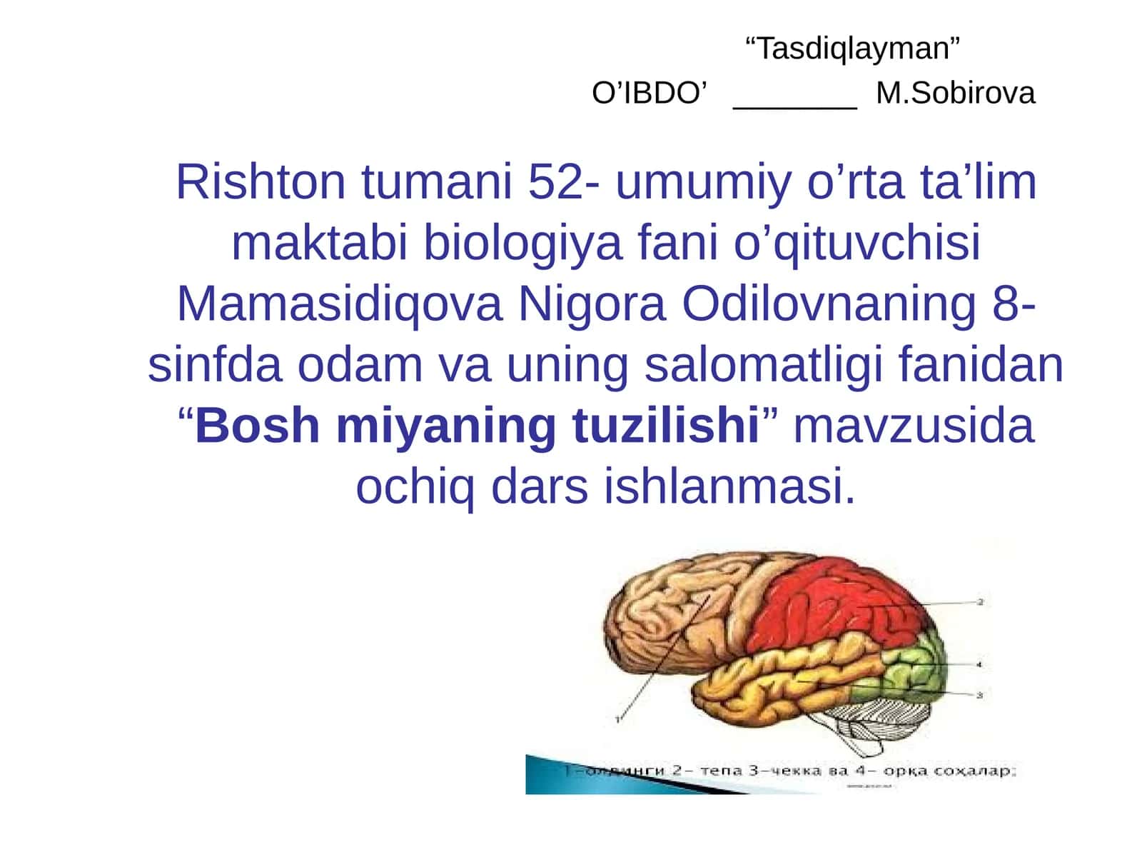 8-sinf Odam va uning salomatligi fanidan Bosh miyaning tuzilishi ochiq dars ishlanmasi