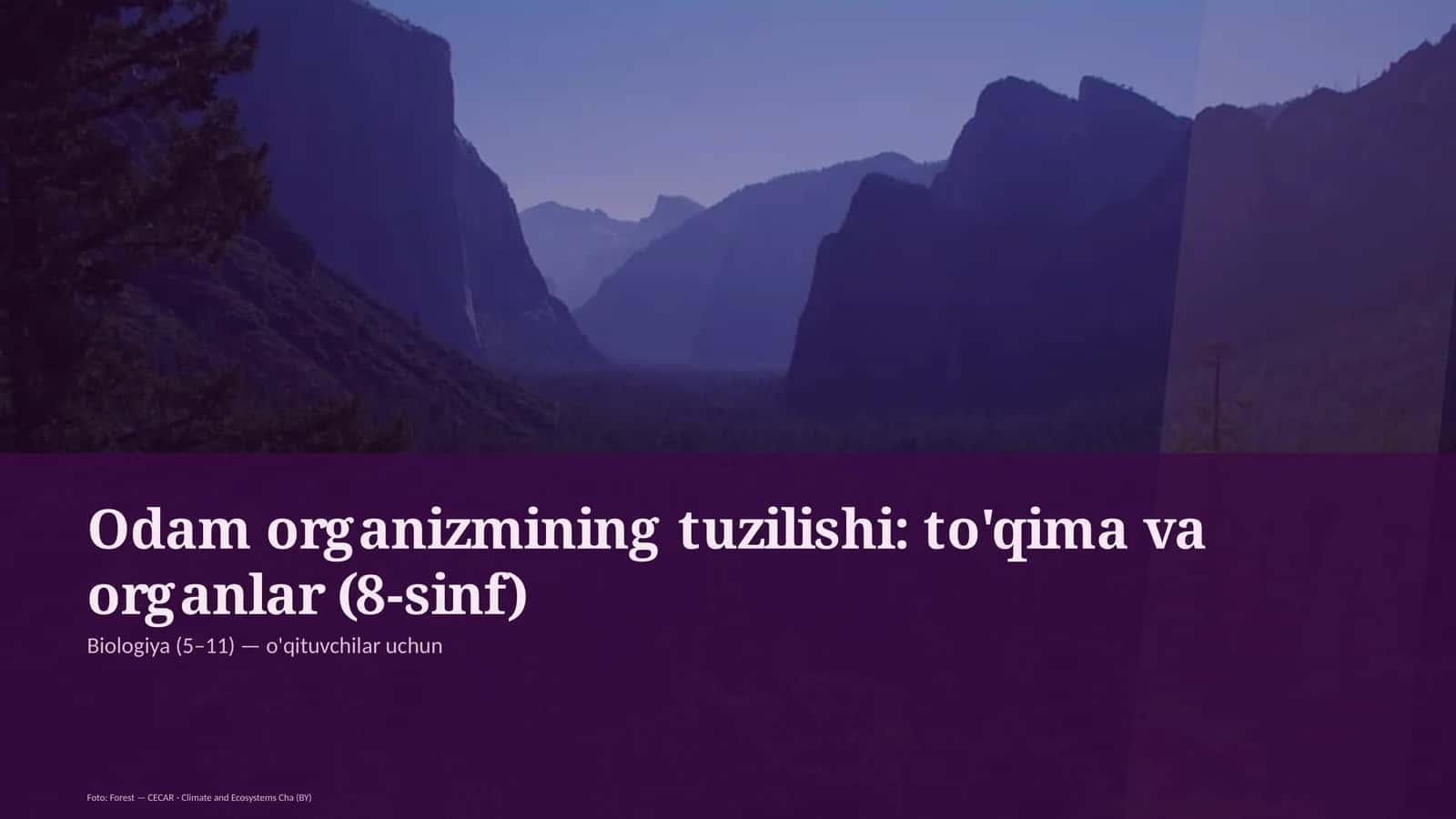 Odam organizmining tuzilishi: to'qima va organlar (8-sinf)