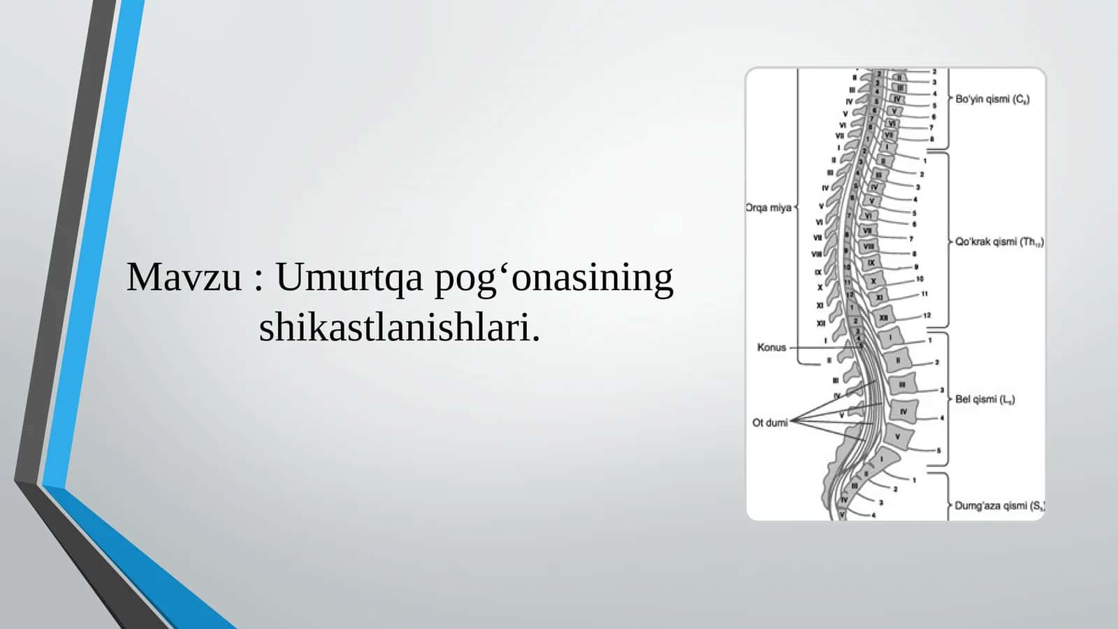 Umurtqa pog‘onasining shikastlanishlari