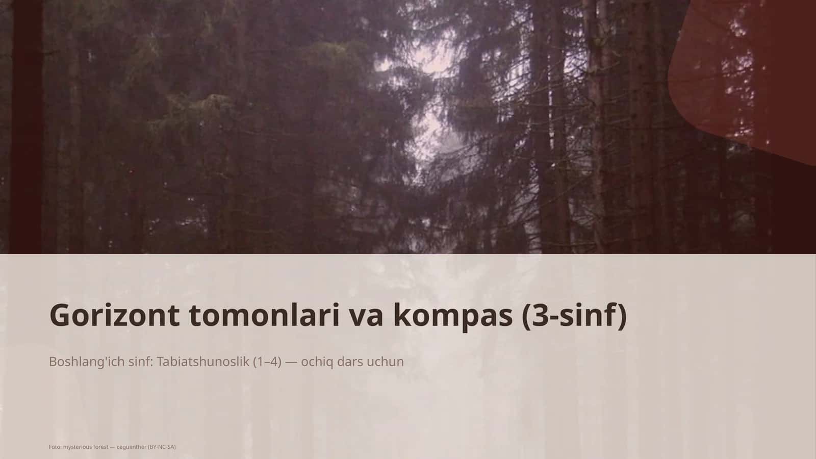 Gorizont tomonlari va kompas (3-sinf)