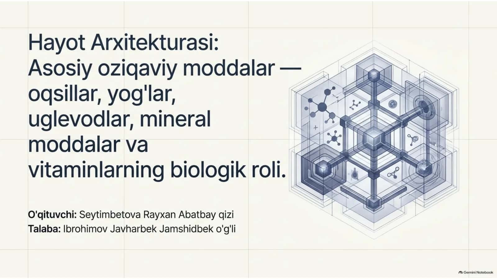 hayot arxitekturasi