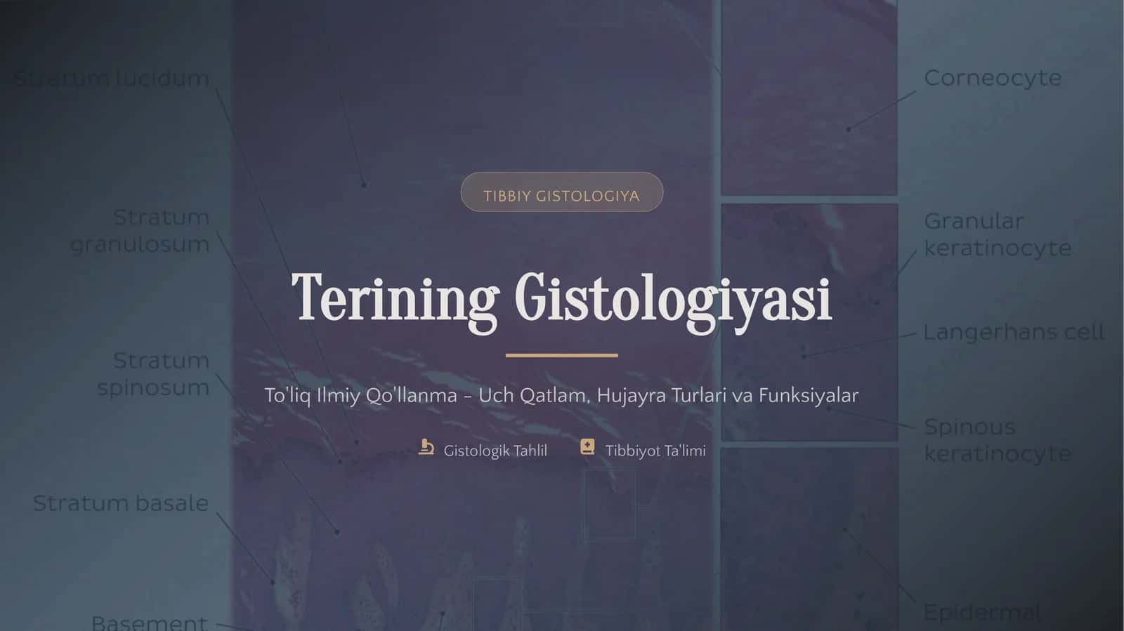Tibbiy Gistologiya