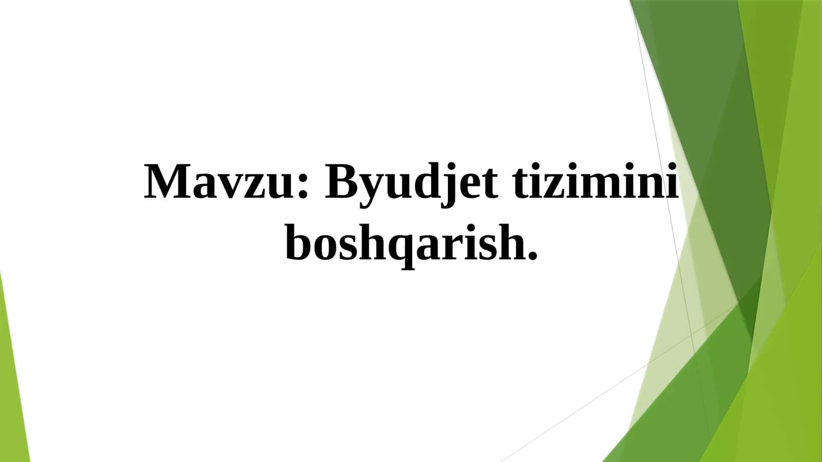 Byudjet tizimini boshqarish 1