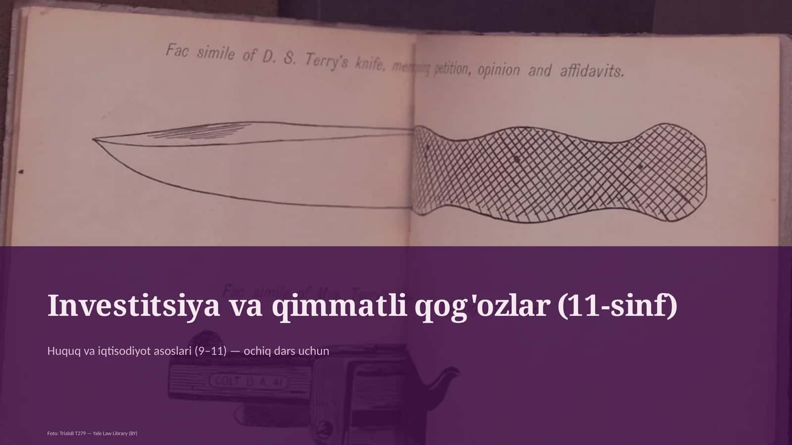 Investitsiya va qimmatli qog'ozlar (11-sinf)