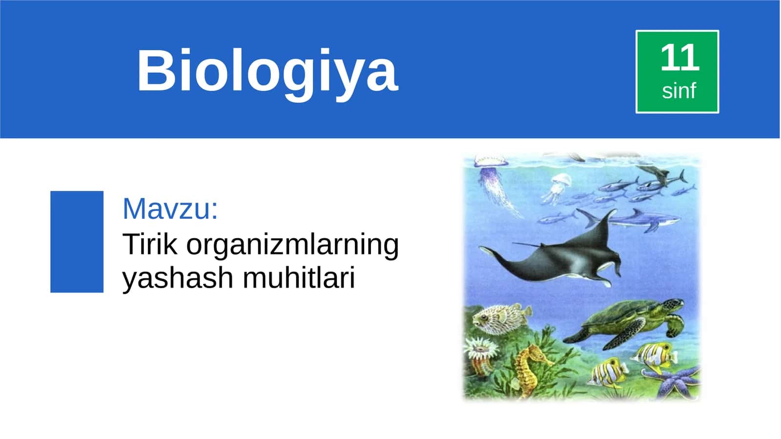 Tirik organizmlarning yashash muhitlari