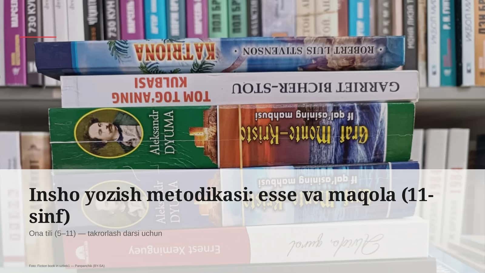 Insho yozish metodikasi: esse va maqola (11-sinf)