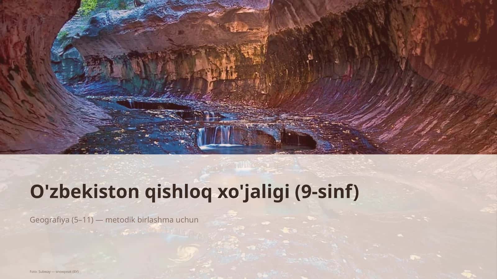 O'zbekiston qishloq xo'jaligi (9-sinf)