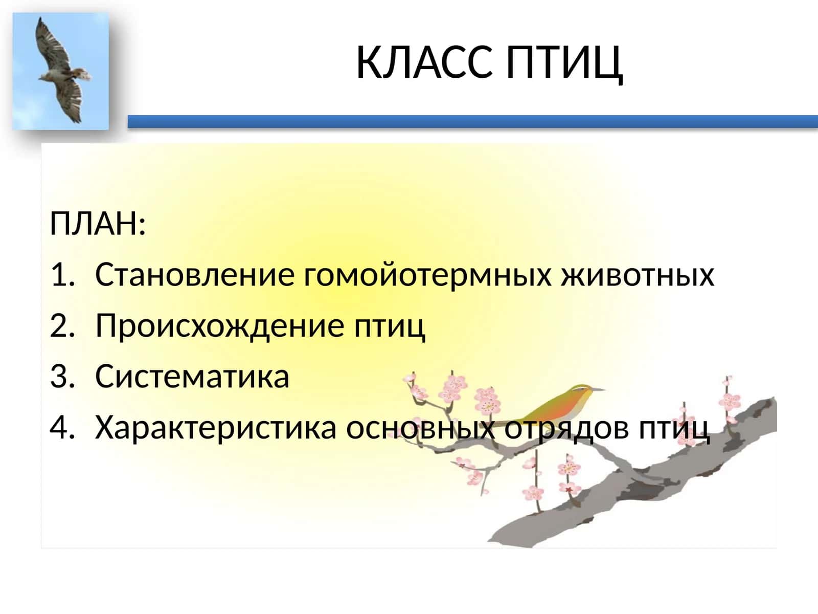 КЛАСС ПТИЦ